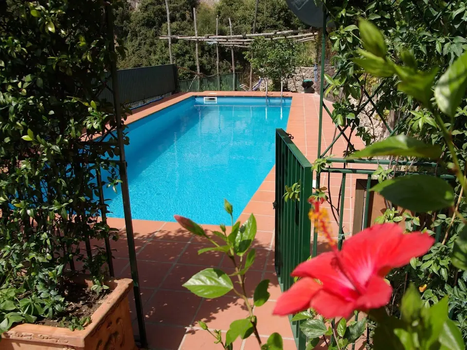 Luxury-Amalfi-Villa-Pool_with-Flower