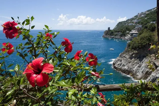Luxury Villa - View with flowers